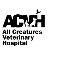 All Creatures Veterinary Hospital
