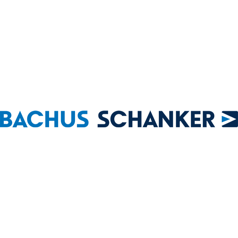 Bachus & Schanker LLC Logo