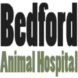 Bedford Animal Hospital