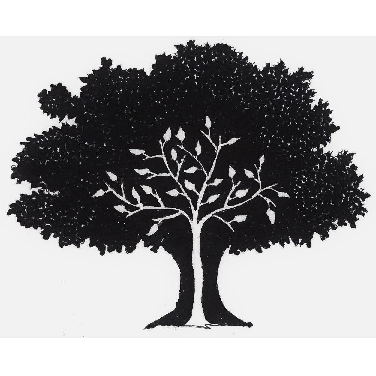Branching Out Inc Logo