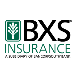 BXS Insurance Inc Logo