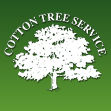 Cotton Tree Service Logo