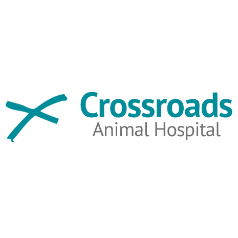 Crossroads Animal Hospital