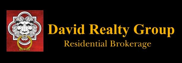 David Realty Group Logo