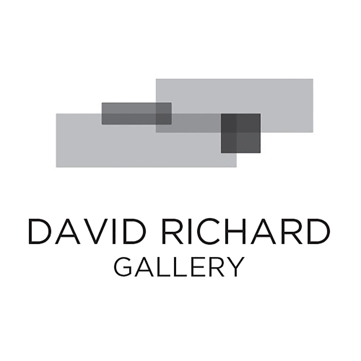 David Richard Gallery Logo
