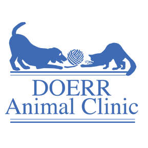 Doerr Animal Clinic