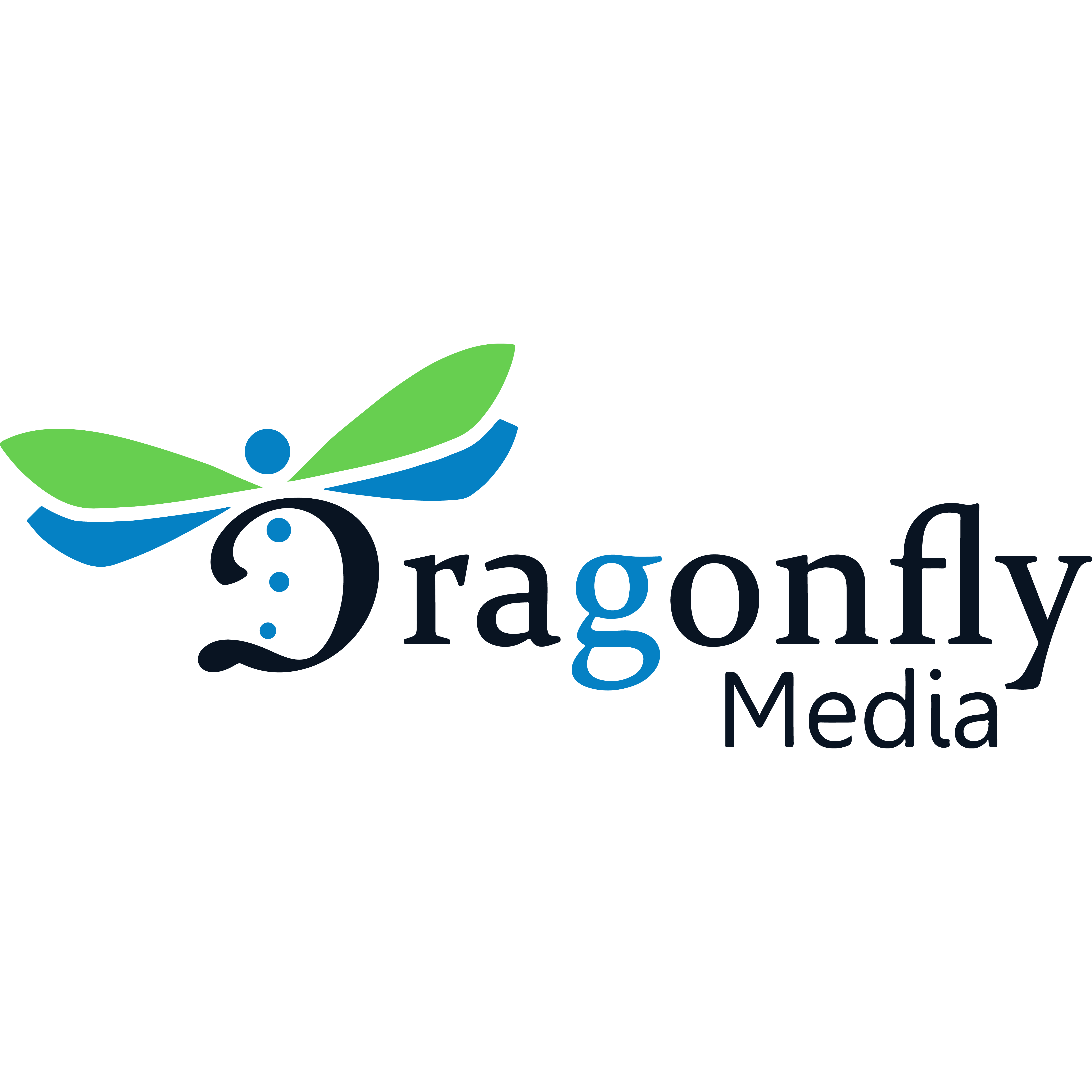 Dragonfly Media Logo