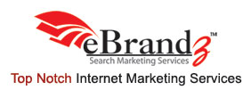 eBrandz Inc Logo