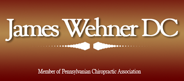 James M Wehner D.C. Logo
