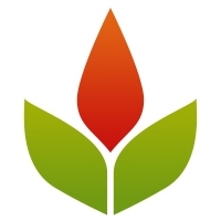 LinkHelpers Phoenix Web Design & SEO Logo