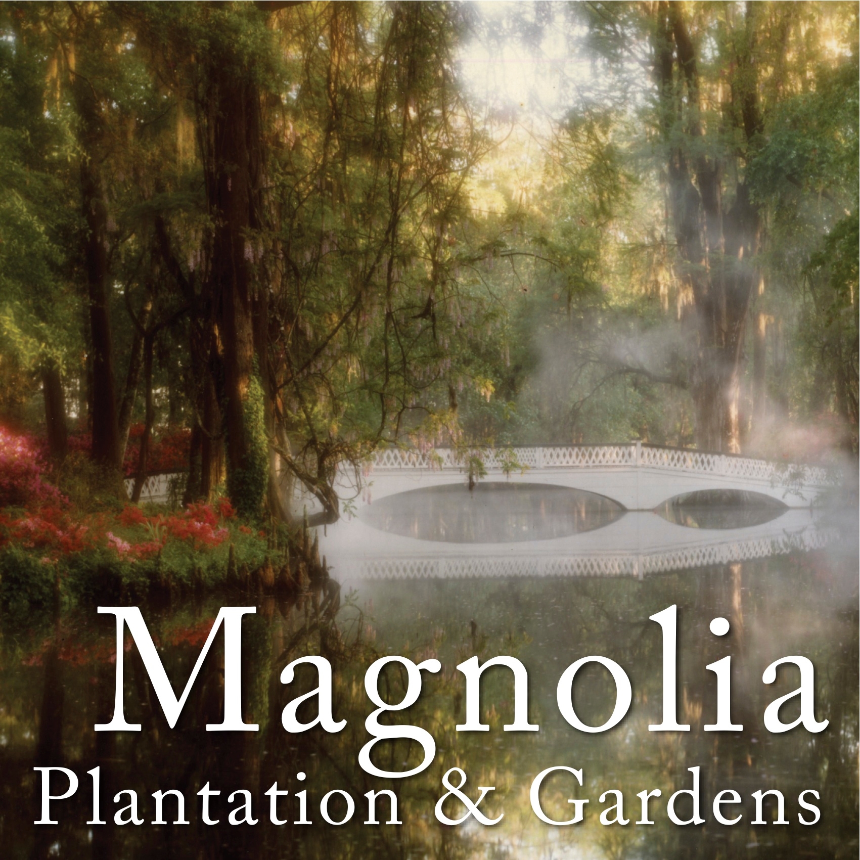 Magnolia Plantation & Gardens Logo