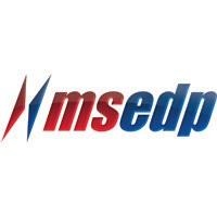 MSEDP Technology Group IT & Web Services Logo
