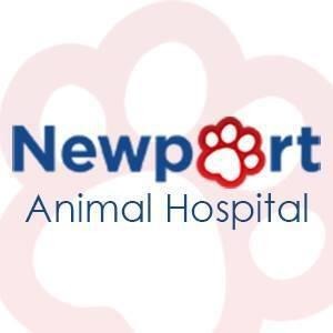 Newport Animal Hospital