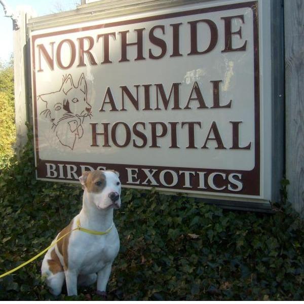 Northside Animal Hospital Logo
