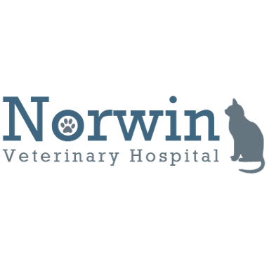 Norwin Veterinary Hospital Logo