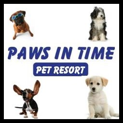 Paws In Time Logo