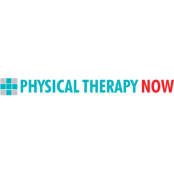 Physical Therapy Now Logo