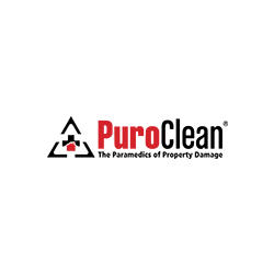 Puroclean Disaster Services Logo