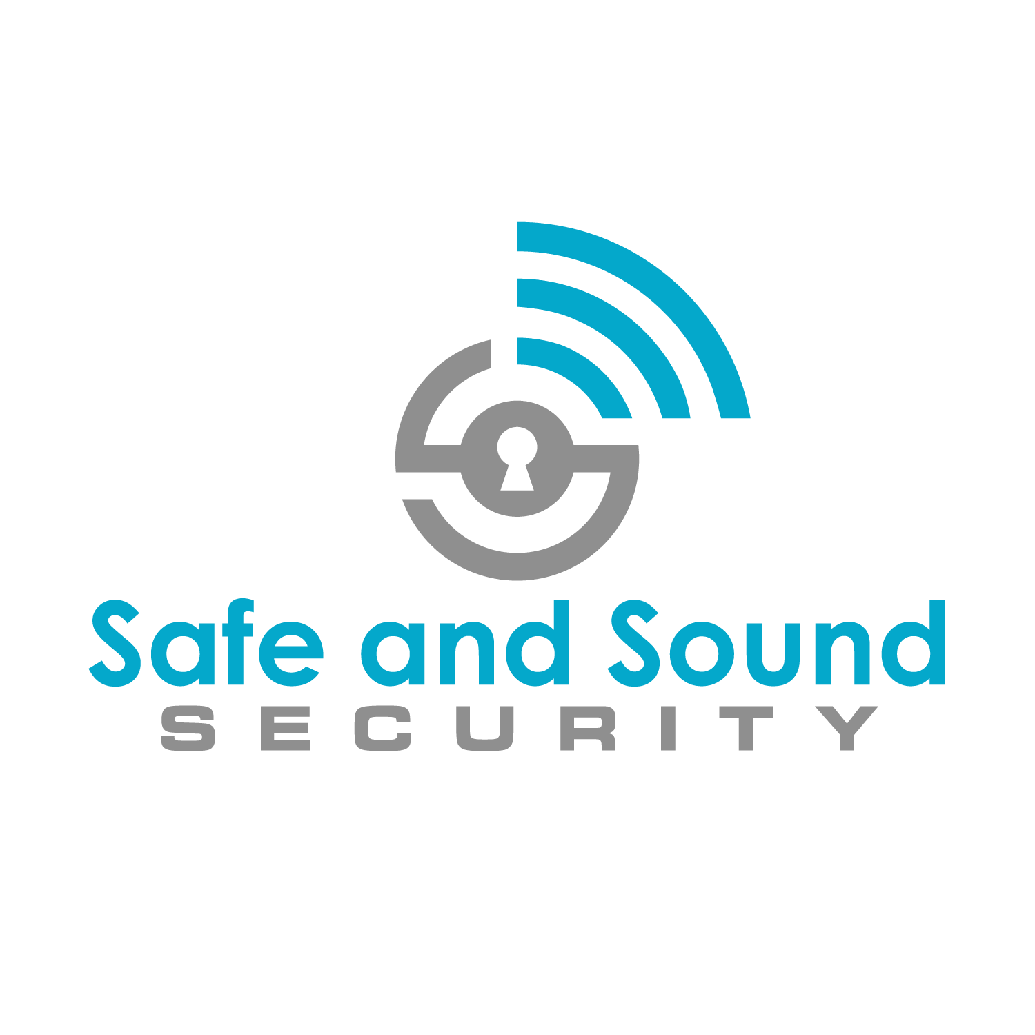 Safe and Sound Security