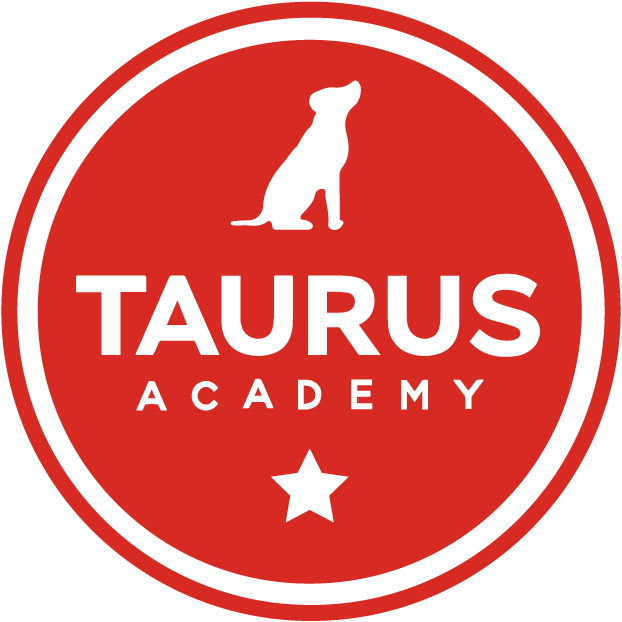 Taurus Academy Logo