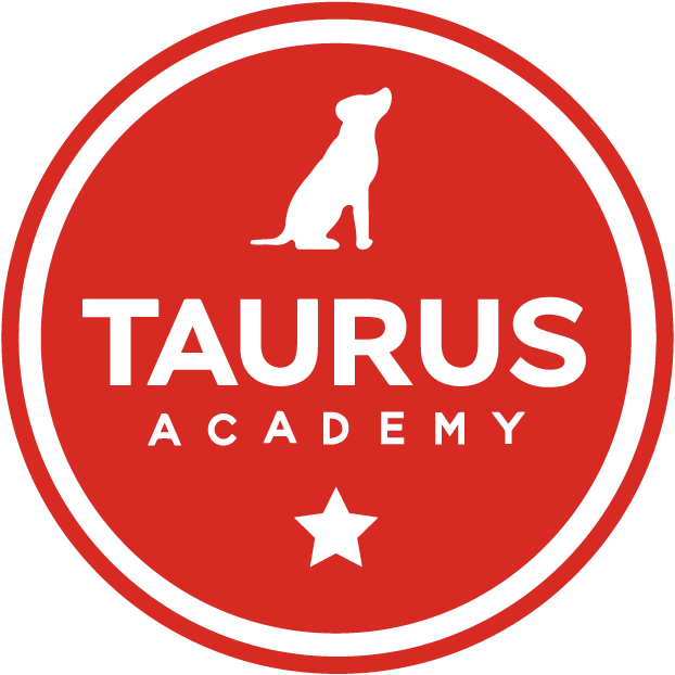 Taurus Academy