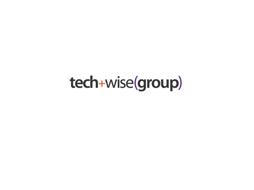 TechWise Group Logo