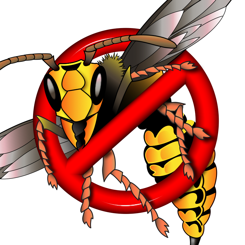 The Bee Man Logo