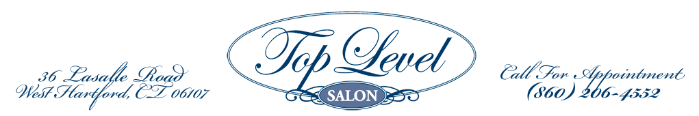 Top Level Salon Logo