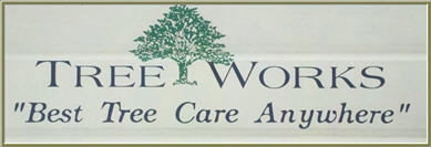 Tree Works Unlimited Logo