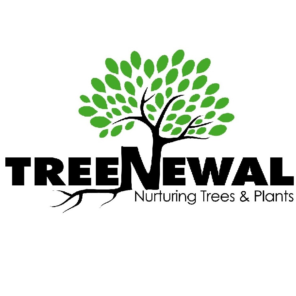 TreeNewal, Certified Arborist Logo