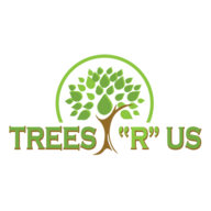 Trees  R Us