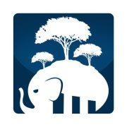 Underground Elephant Logo