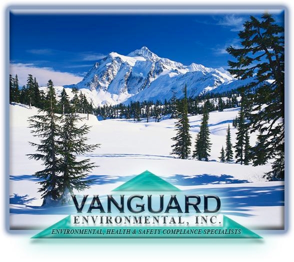 Vanguard Environmental Logo