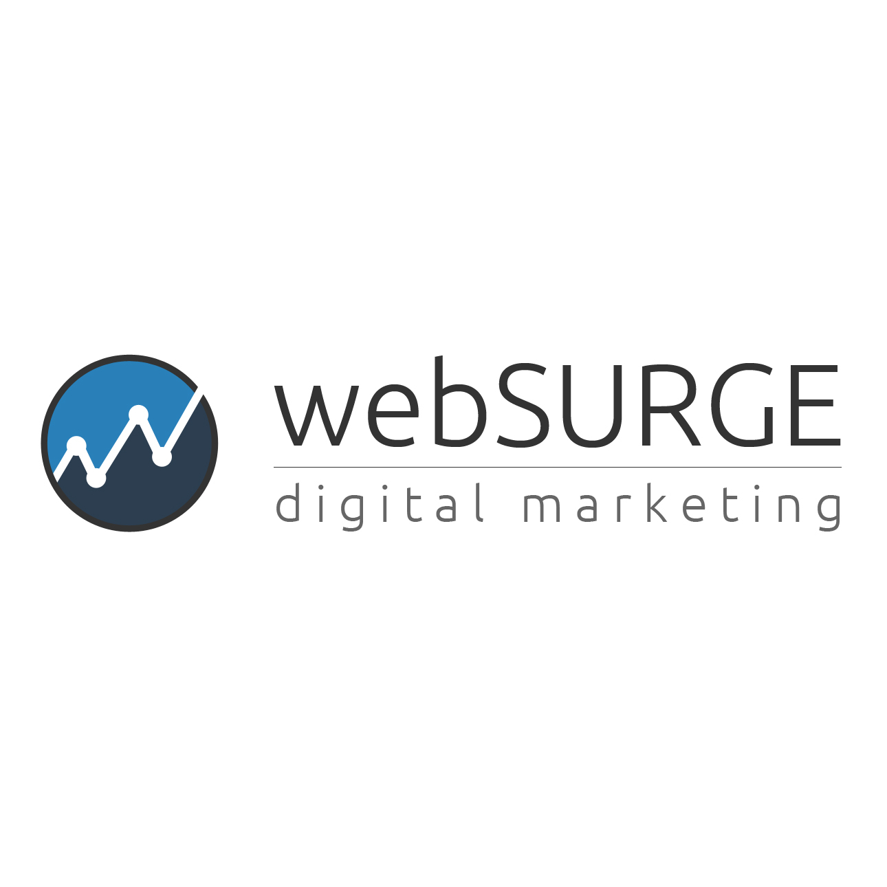 webSURGE Logo