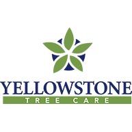 Yellowstone Tree Care